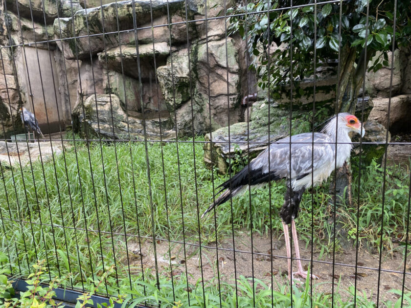 東武動物公園