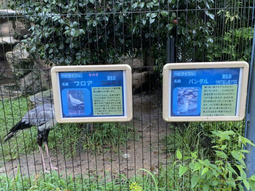 東武動物公園