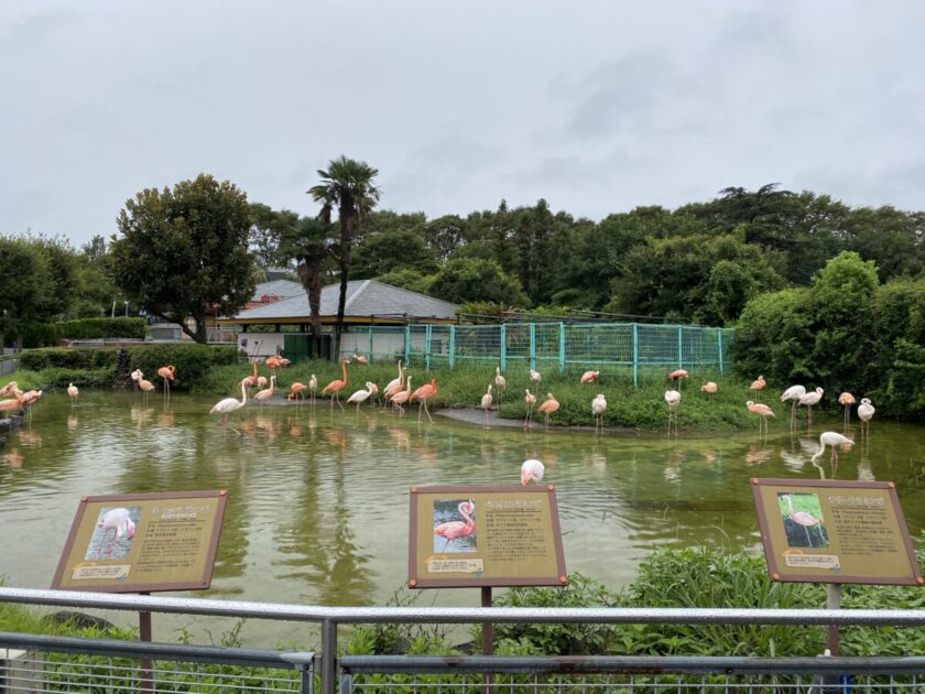 東武動物公園