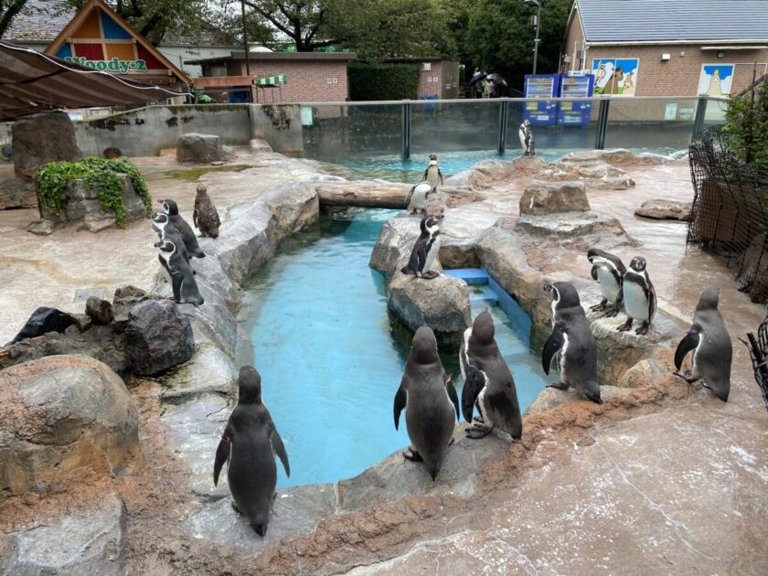 東武動物公園