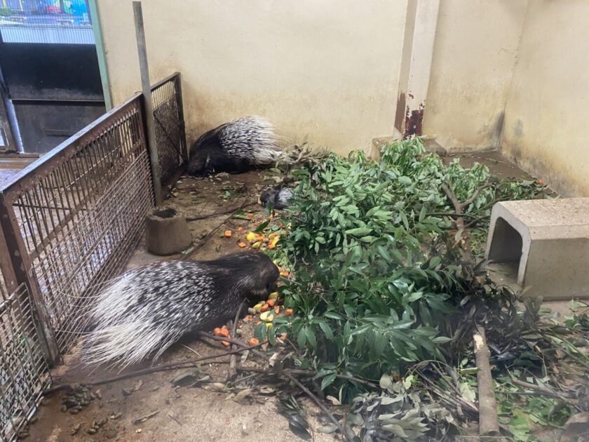 東武動物公園