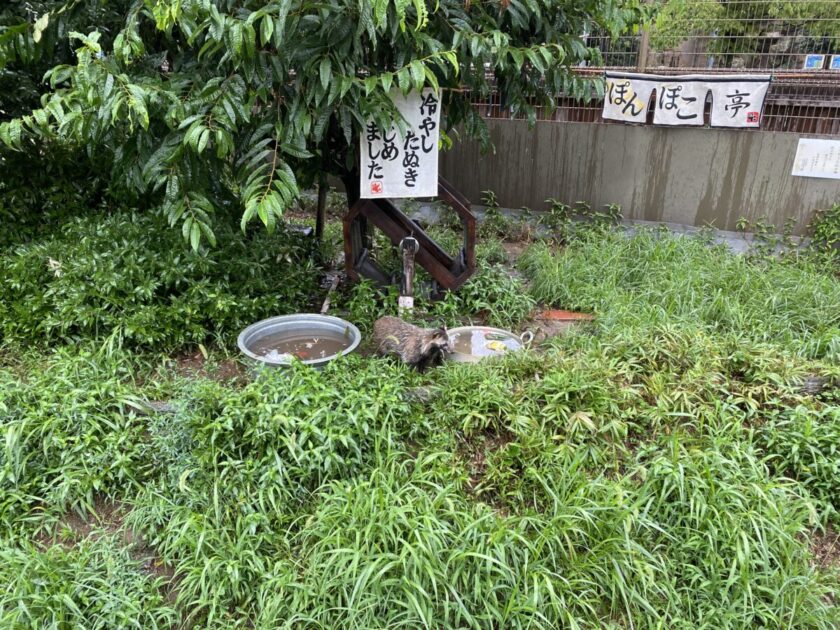 東武動物公園