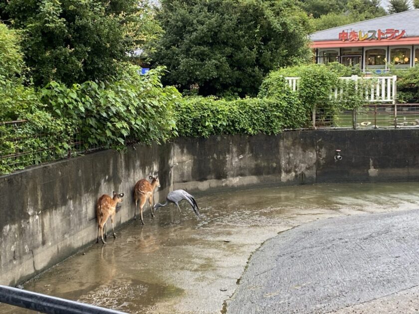 東武動物公園