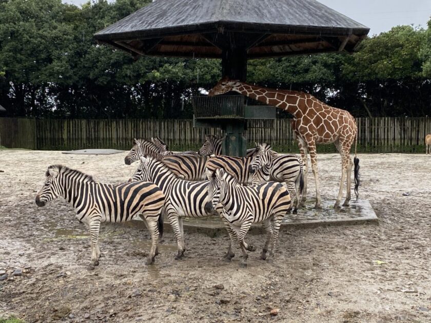 東武動物公園