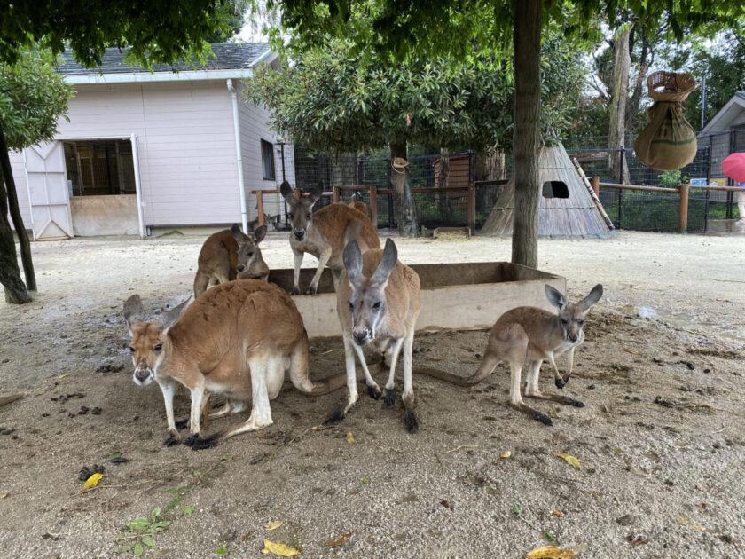 東武動物公園