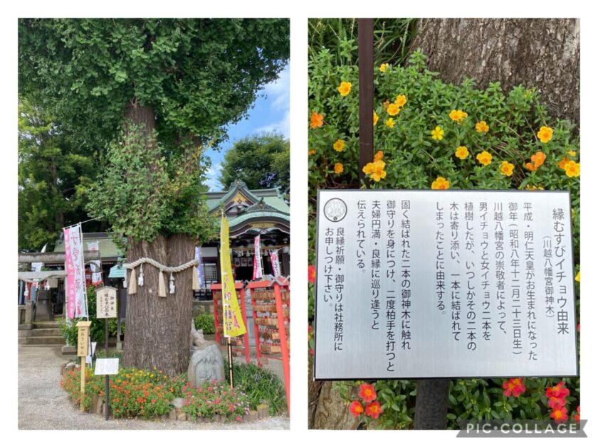 川越八幡宮