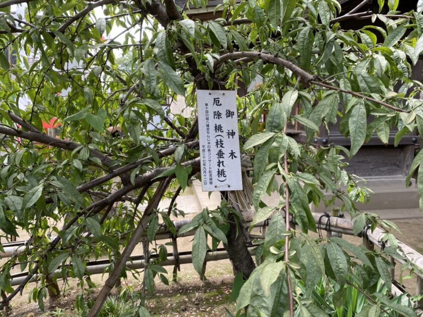 川越八幡宮