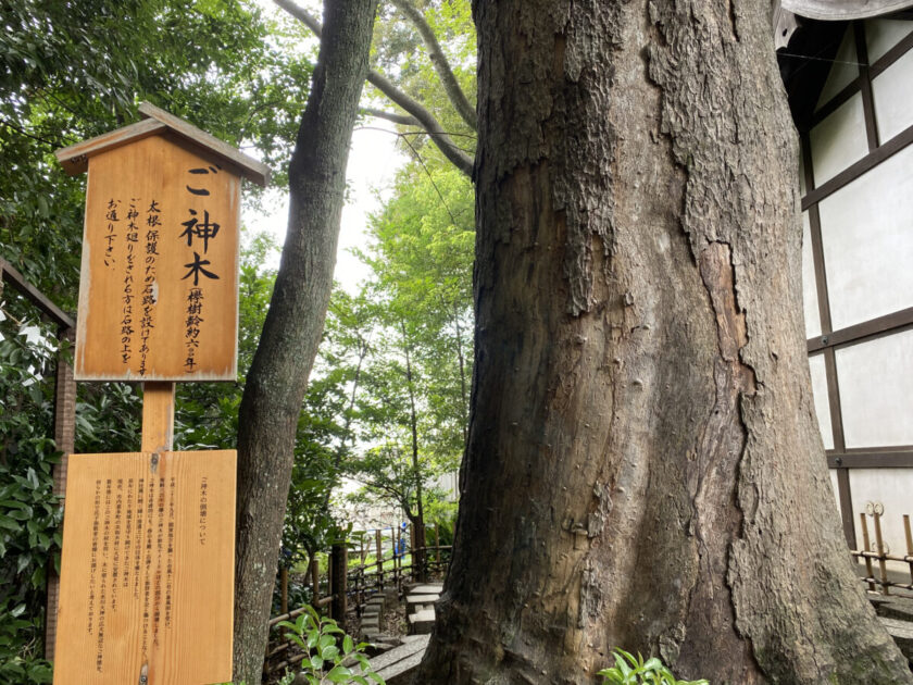 川越氷川神社