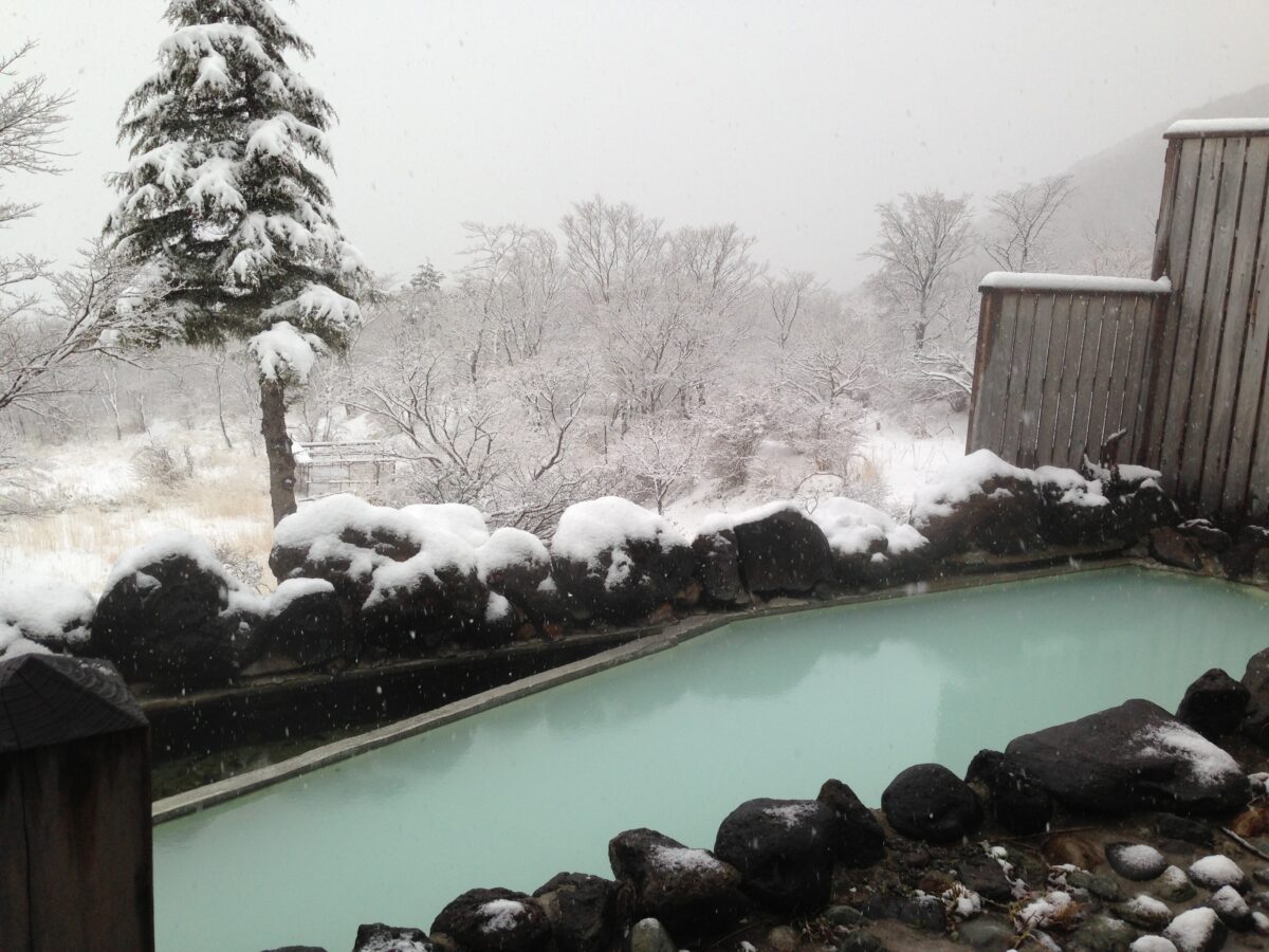 おおるり山荘（閉館）＠那須高雄温泉【にごり湯の雪見露天風呂】