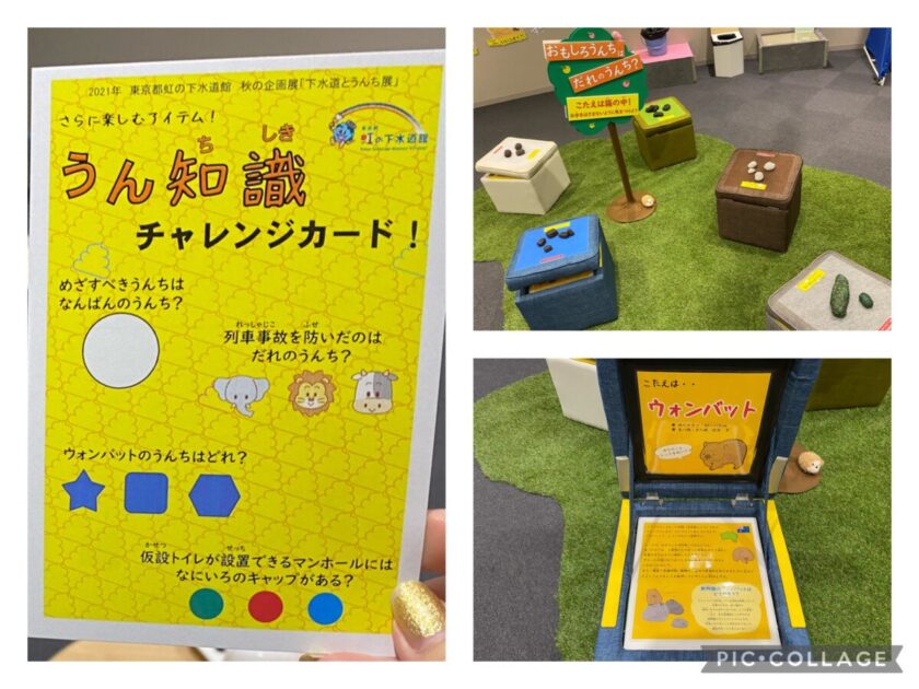虹の下水道館