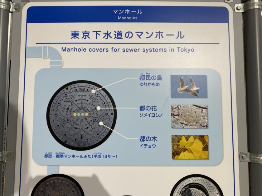 虹の下水道館