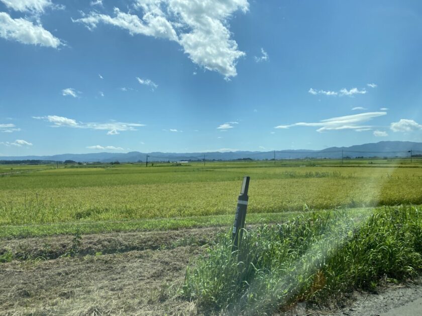 道の駅かくだ付近