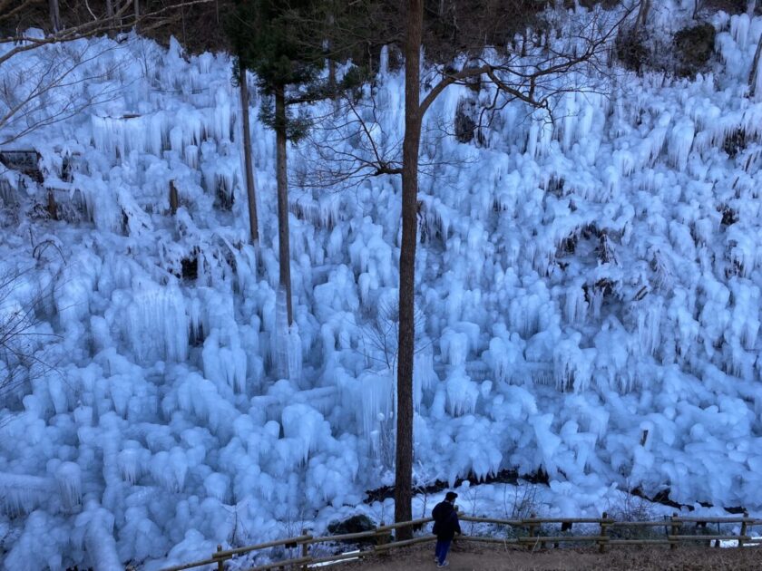 あしがくぼの氷柱2022