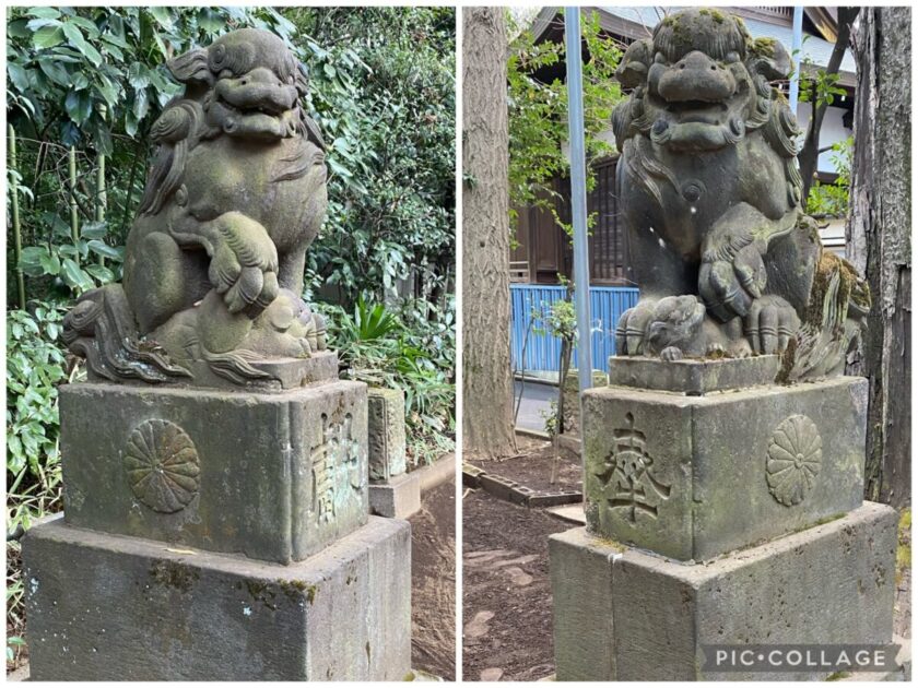 荻窪八幡神社