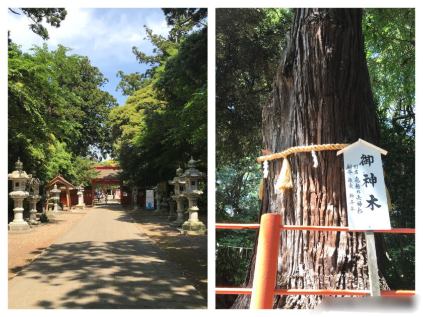 息栖神社