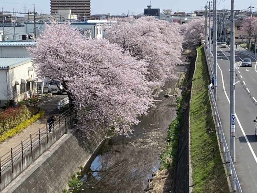 所沢市観光情報物産館よっとこ