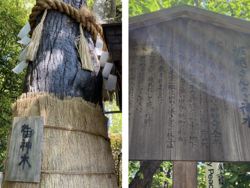 堀越神社