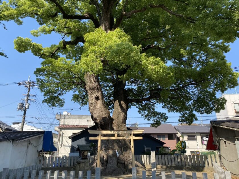 澁川神社