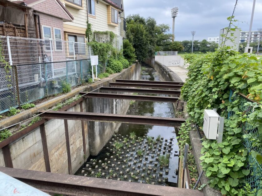 石神井川