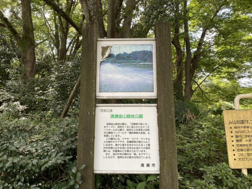 清瀬金山緑地公園