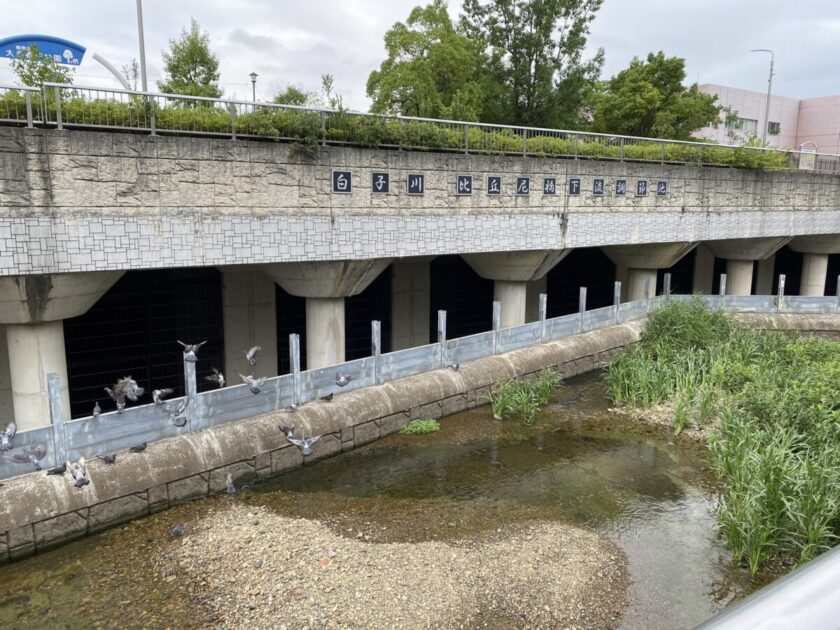 白子川地下調節池