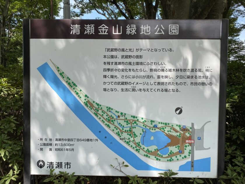 清瀬金山緑地公園