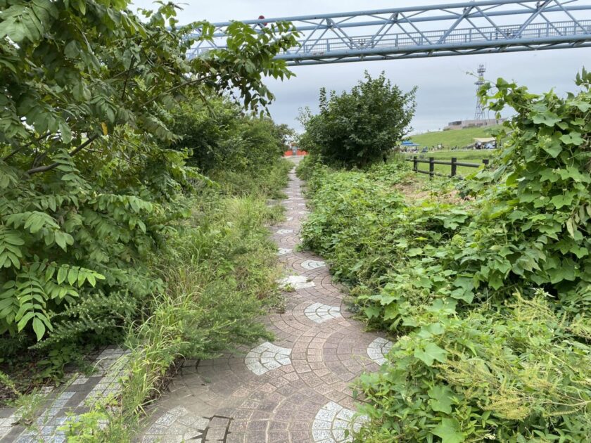 北区荒川岩淵関緑地