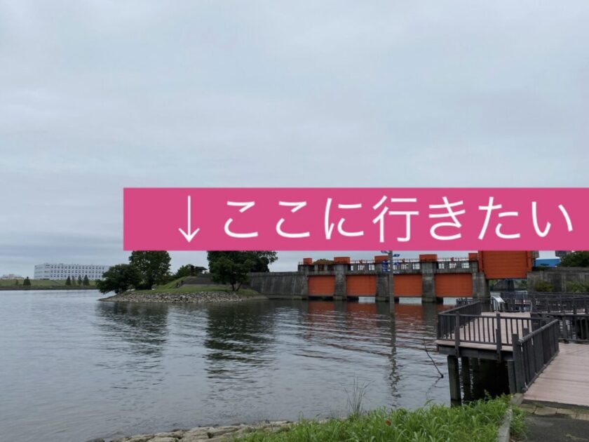 旧岩淵水門