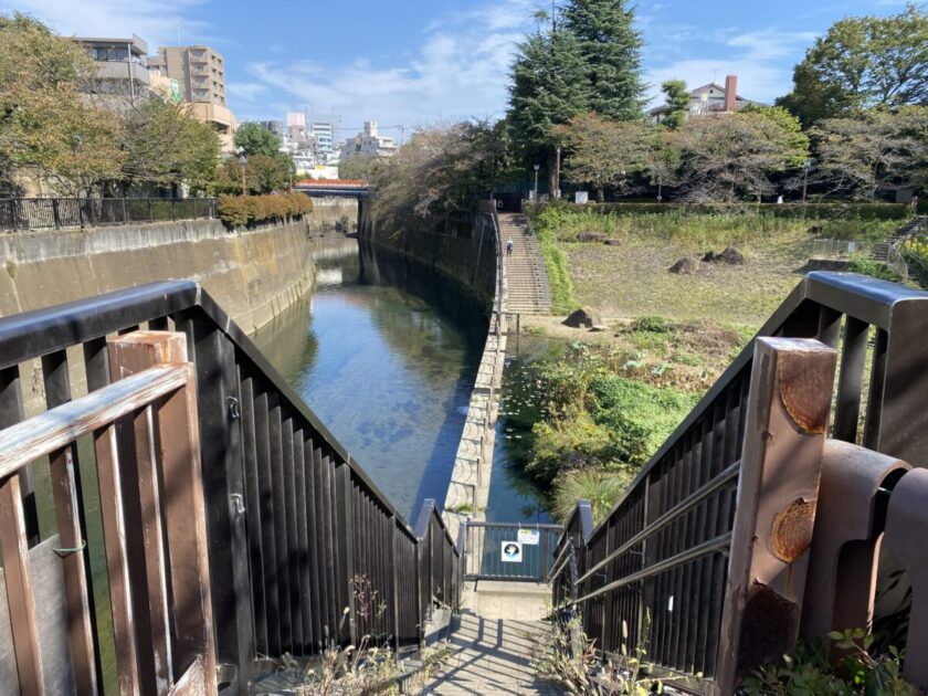 KAWAカード石神井川