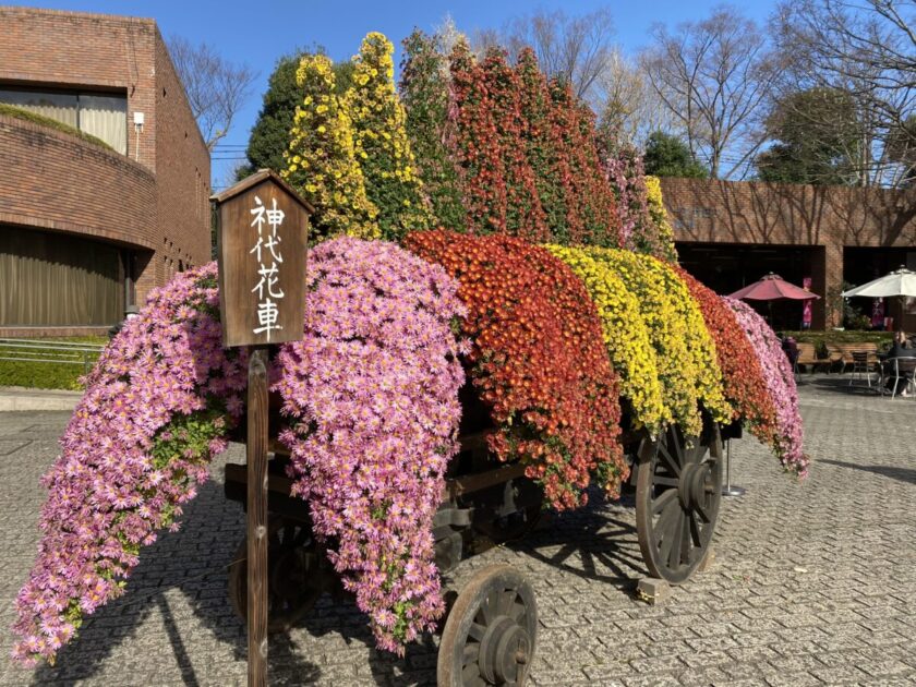 神代花車