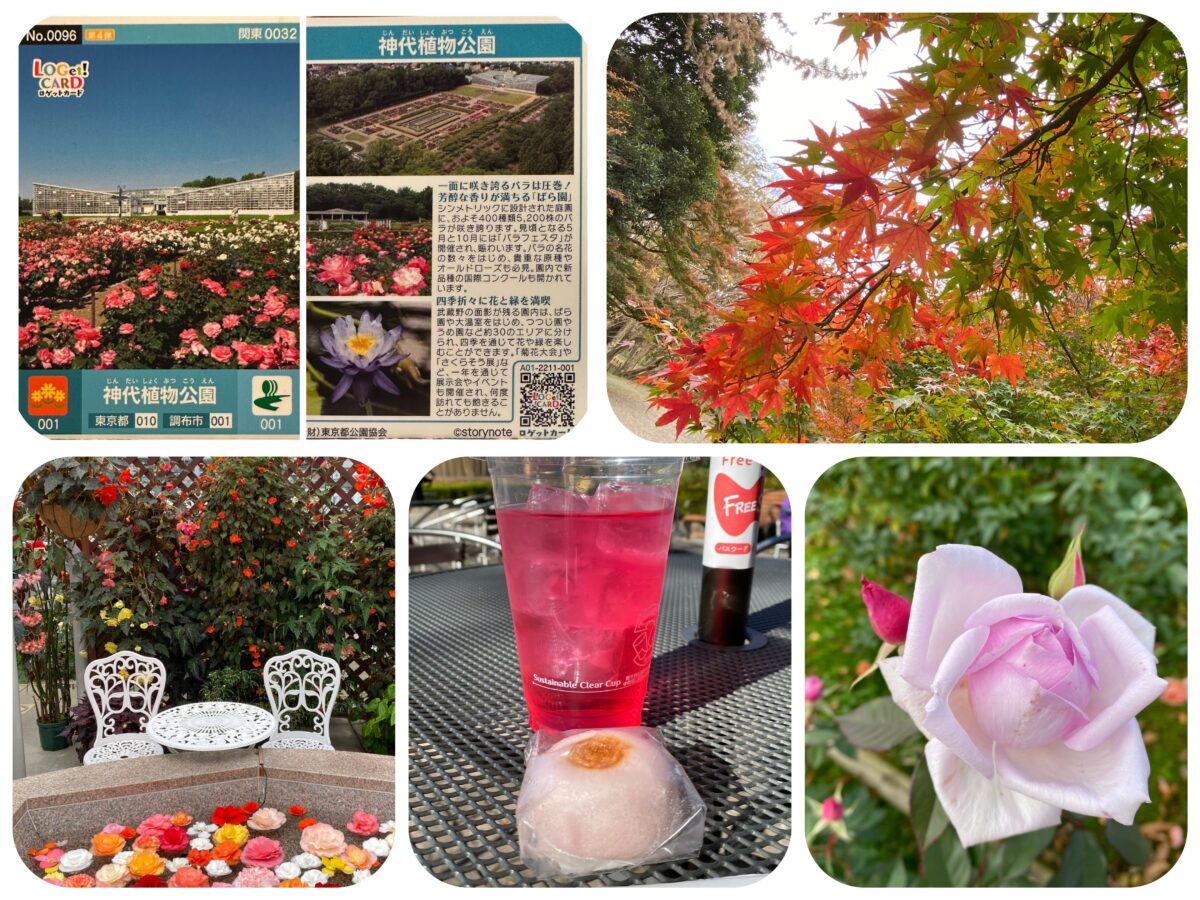 神代植物公園@東京【ロゲットカードと秋バラ＆紅葉】