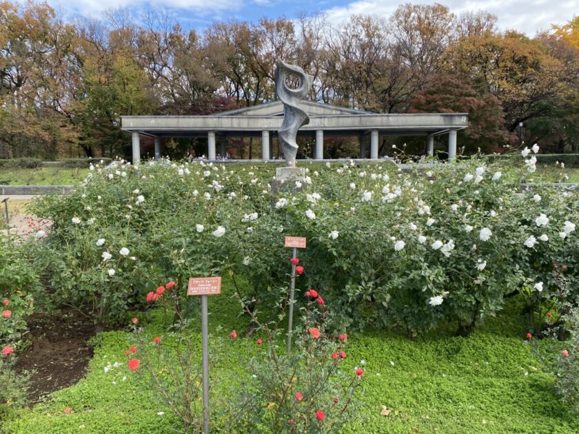 神代植物公園バラ園