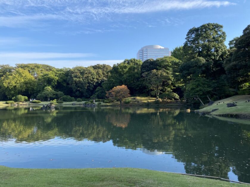 都会の中の自然