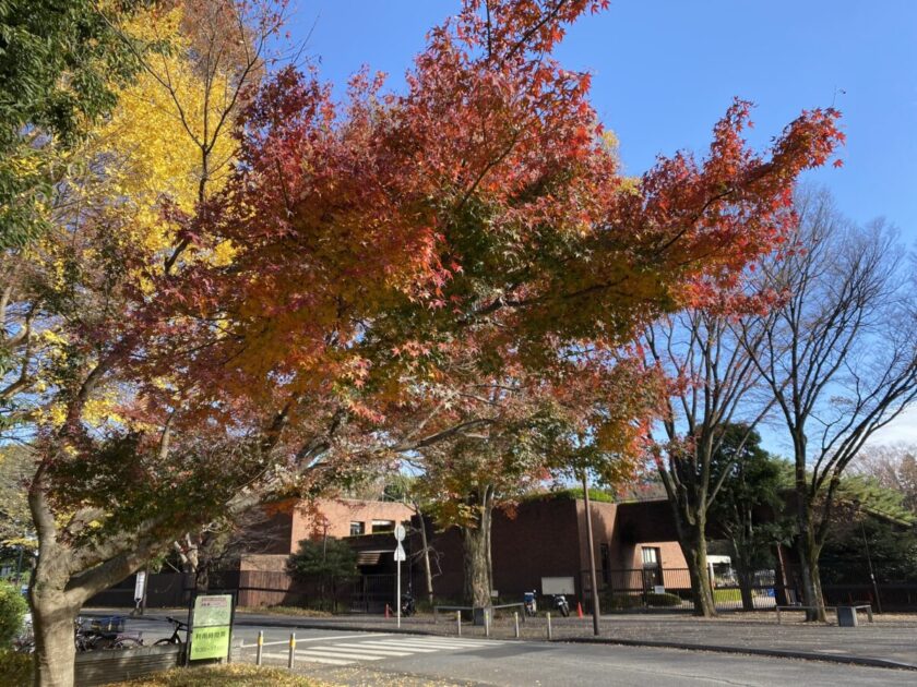 神代植物公園