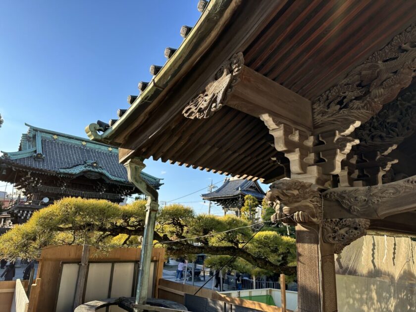 帝釈天瑞龍のマツ裏側