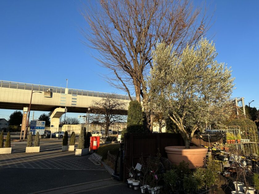 埼玉道の駅