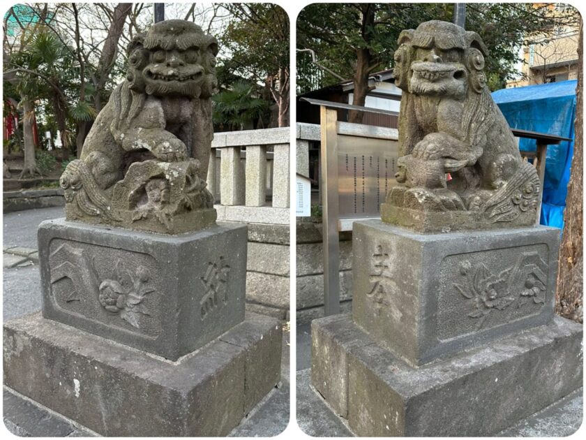 亀岡八幡宮狛犬