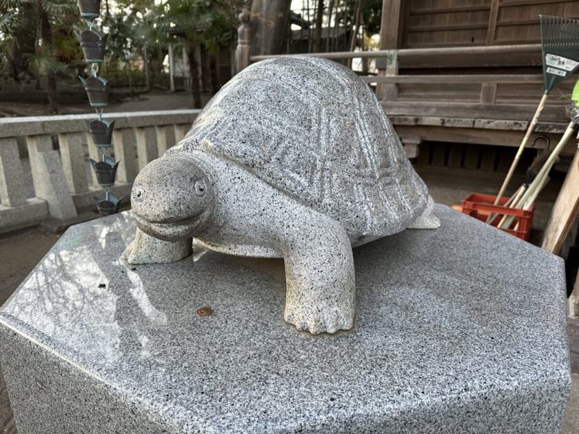 亀岡八幡宮の狛亀