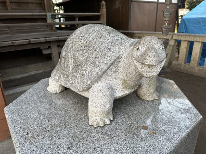 亀岡八幡宮の狛亀