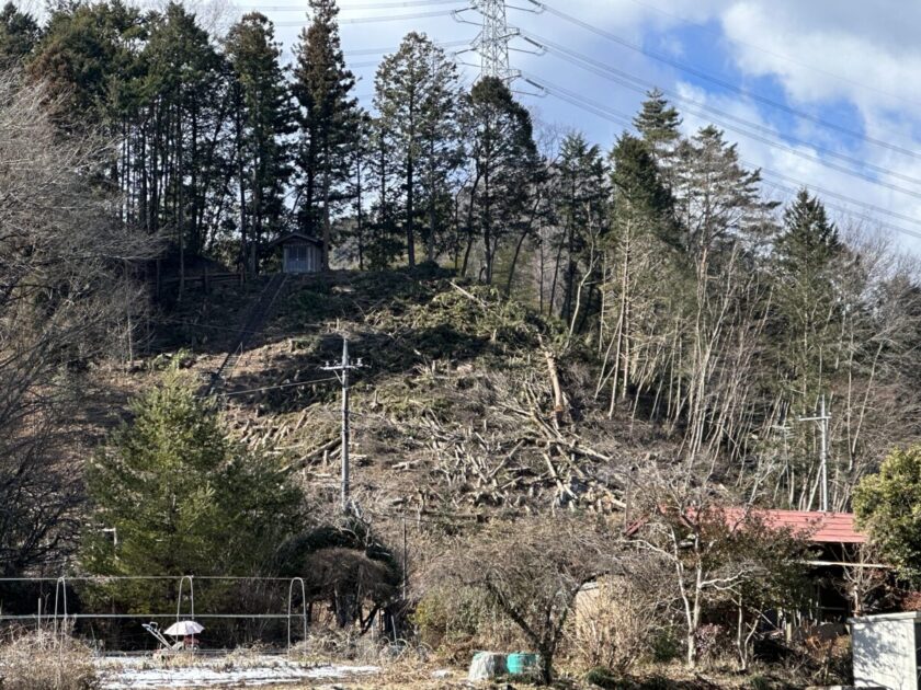 武州日野