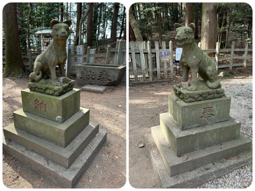 宝登山神社奥宮の山犬