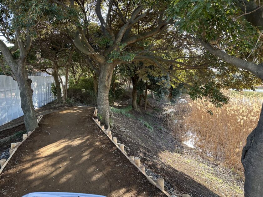 葛西臨海公園の山道サイクリング