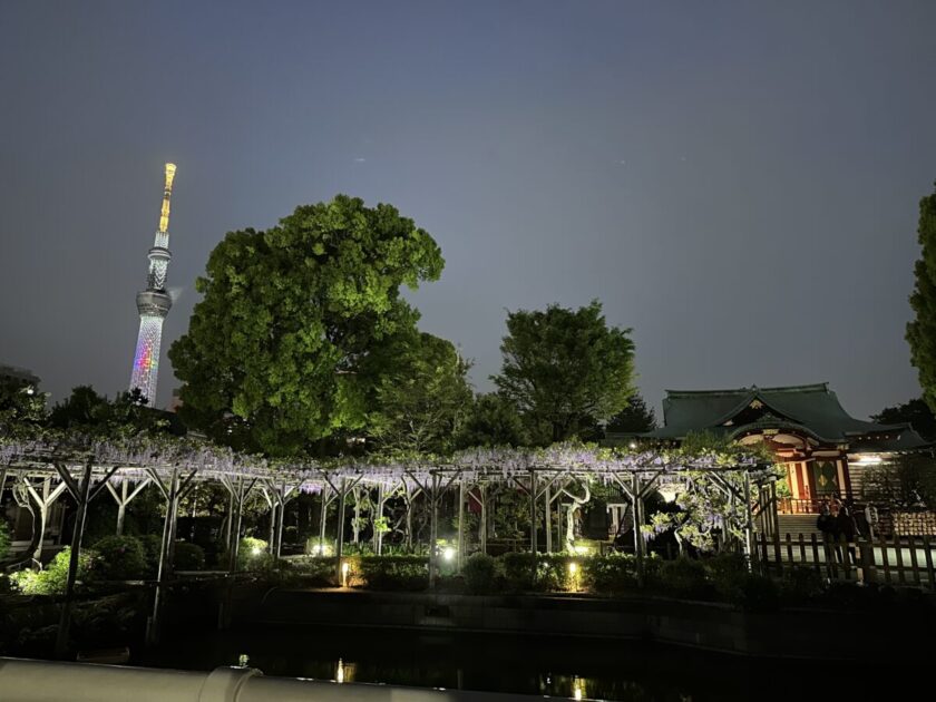 スカイツリーと亀戸天神