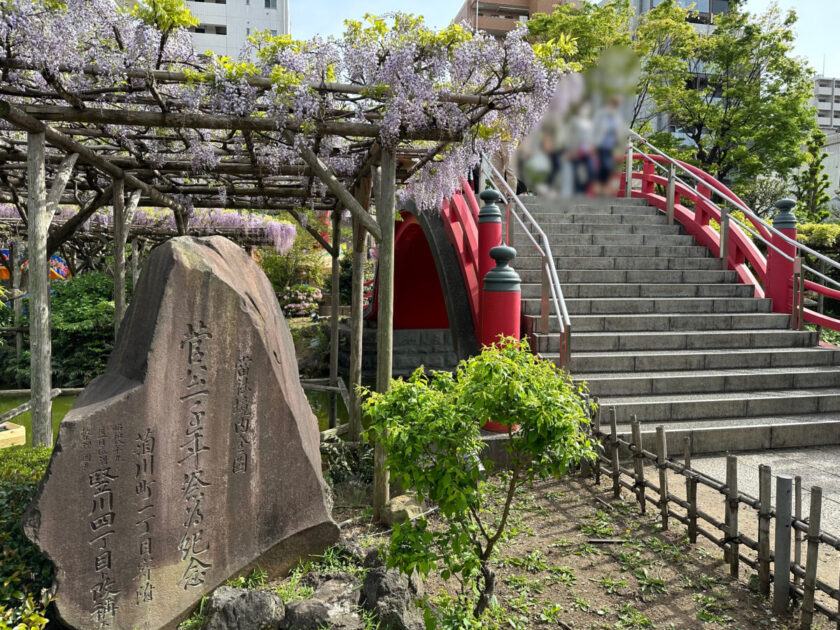 亀戸天神藤まつり昼