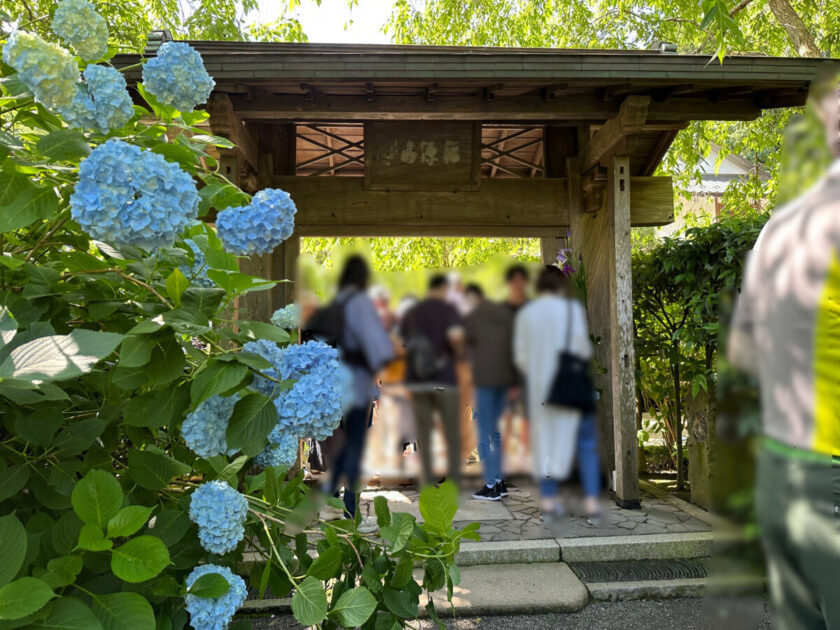 明月院の山門