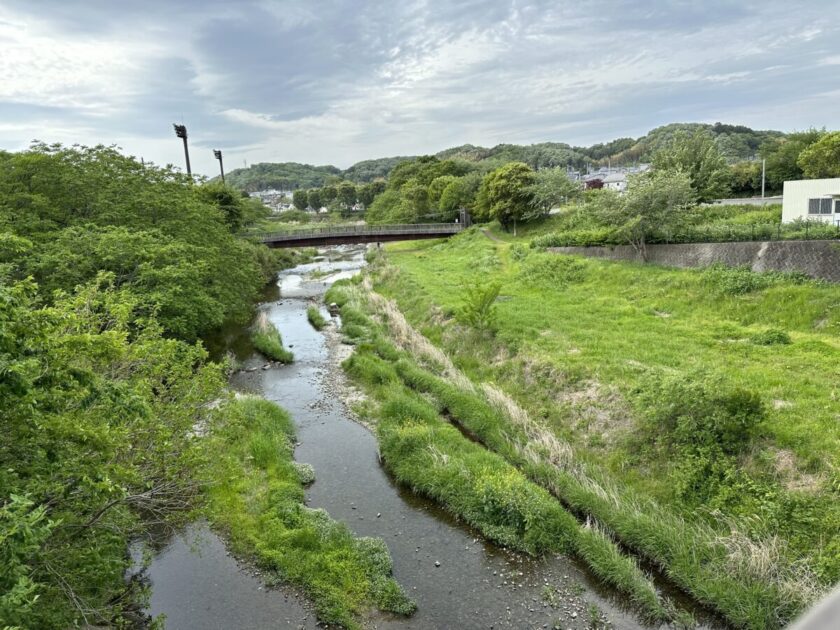 平井川