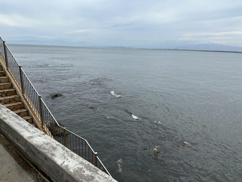 江の島アイランドスパからの景色　満潮