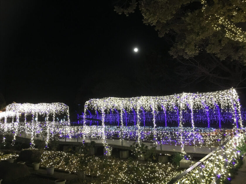 江の島冬のイルミネーション