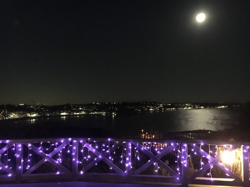 江の島から見える相模湾の夜景