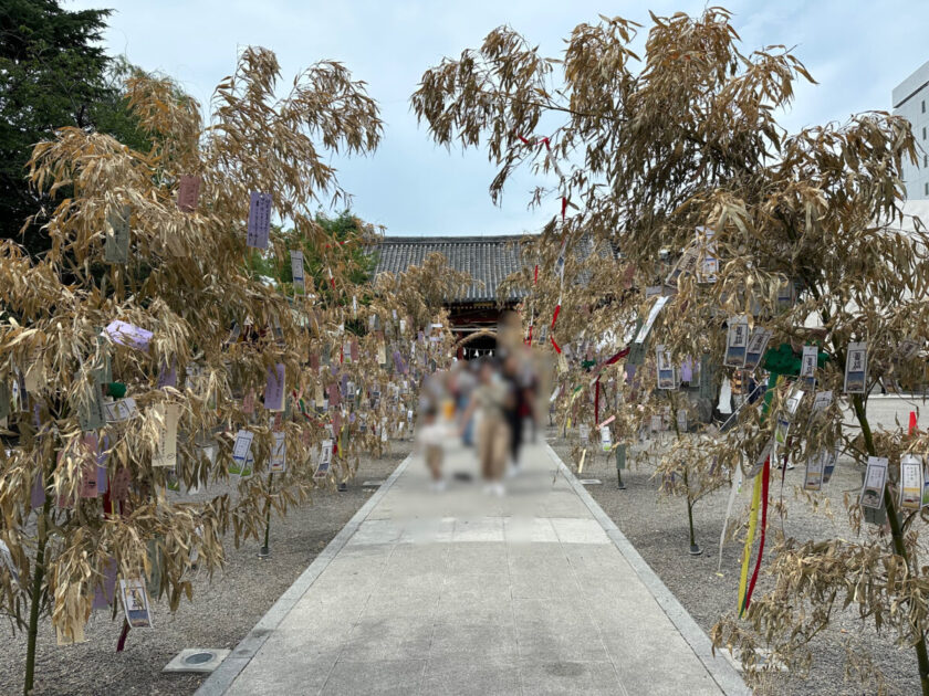 浅草神社の夏詣